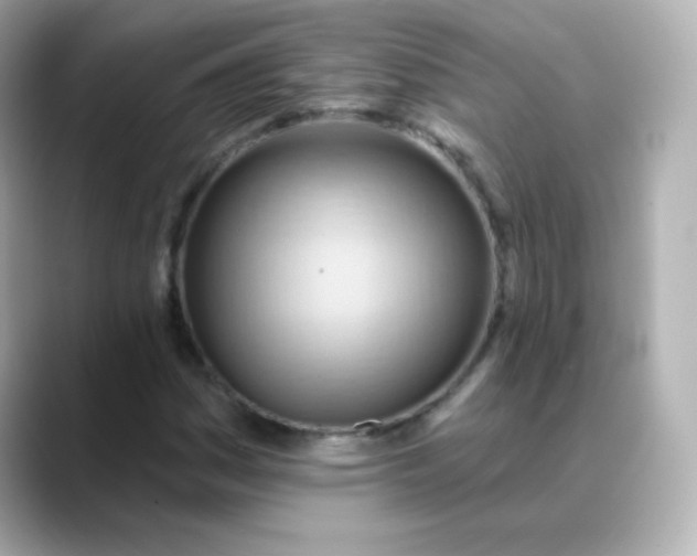 X0000088411161200706051148