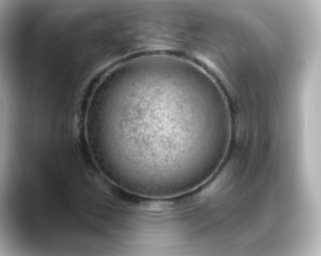 X0000088411163200706051148