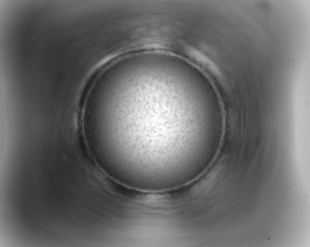 X0000088411166200706051148