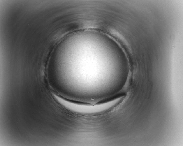 X0000088411169200706051148