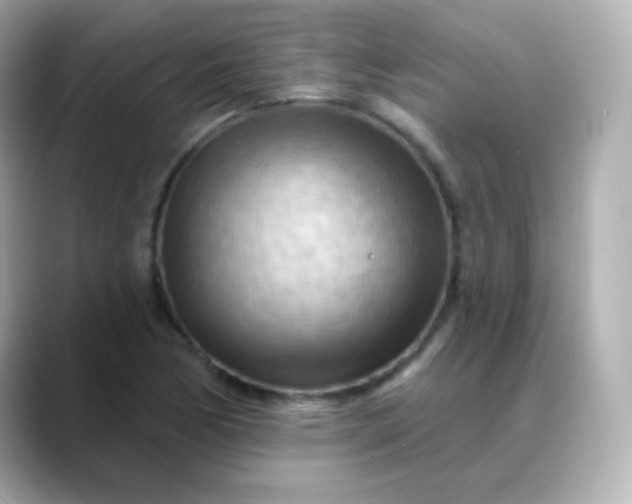X0000088411170200706051148