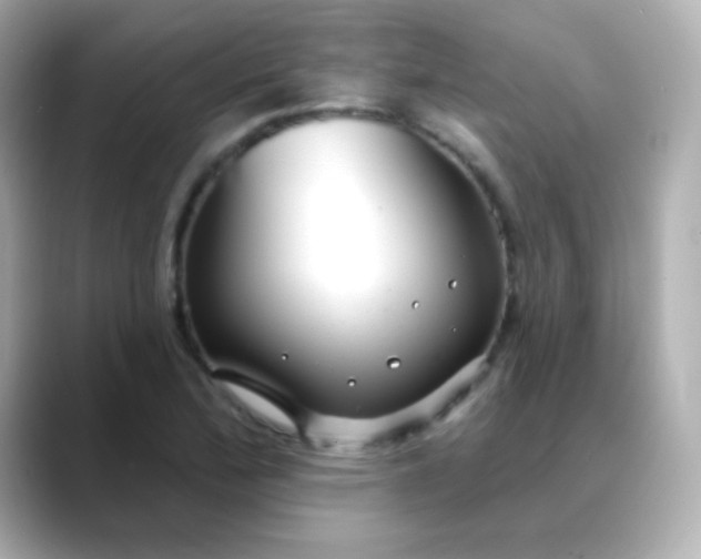 X0000088411172200706051148