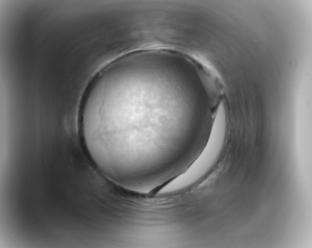 X0000088411173200706051148