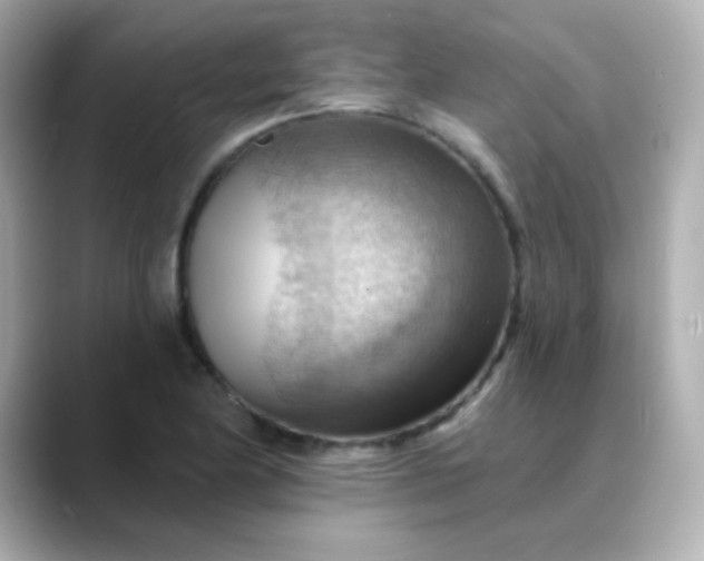X0000088411174200706051148