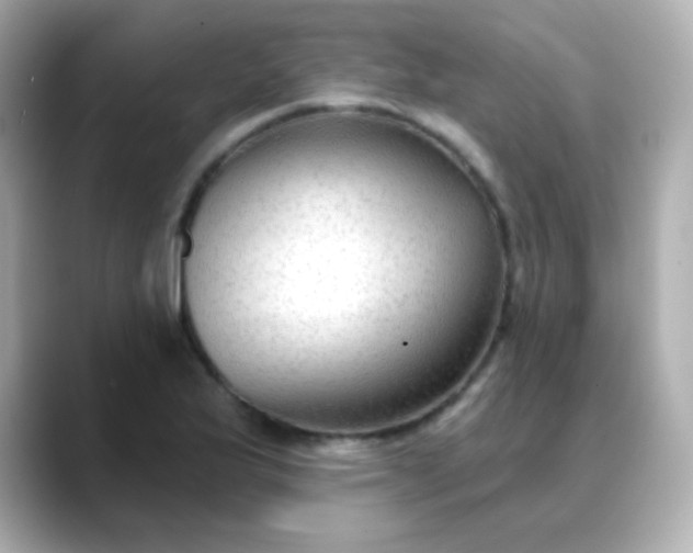 X0000088411175200706051148