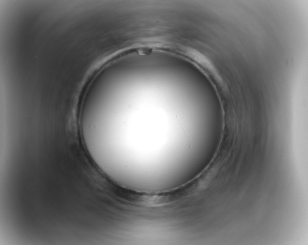 X0000088411176200706051148