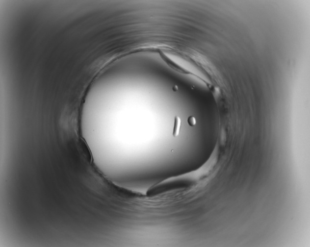 X0000088411177200706051148