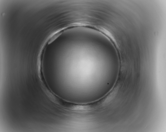 X0000088411179200706051148