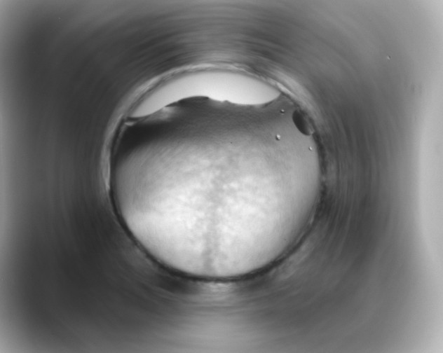 X0000088411180200706051148