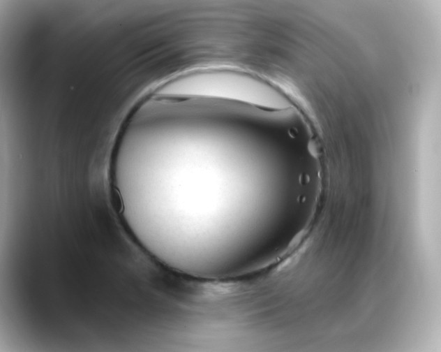 X0000088411181200706051148