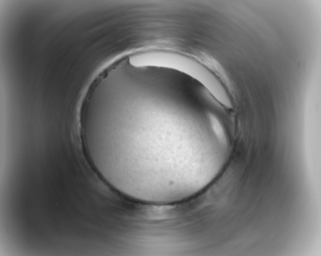 X0000088411184200706051148