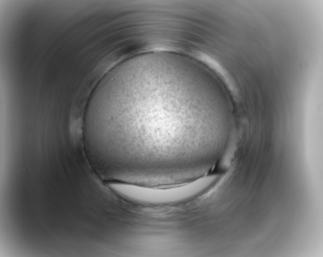 X0000088411185200706051148