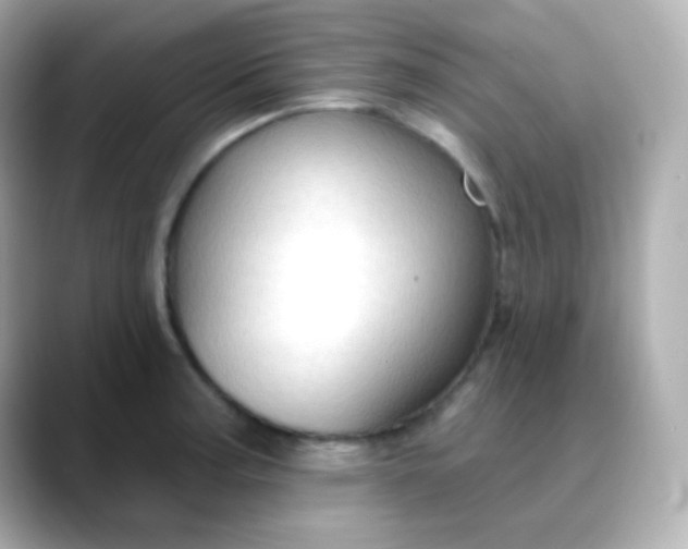 X0000088411187200706051148