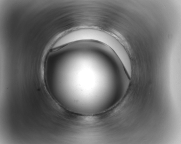 X0000088411188200706051148