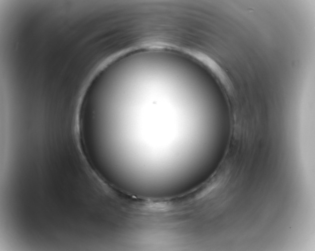 X0000088411191200706051148