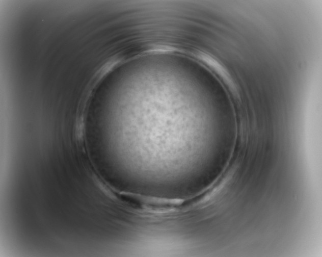 X0000088411193200706051148