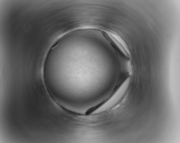 X0000088411197200706051148