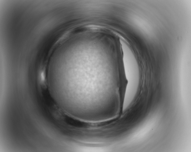 X0000088411198200706051148