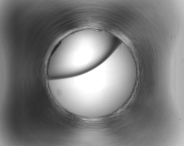 X0000088411200200706051148