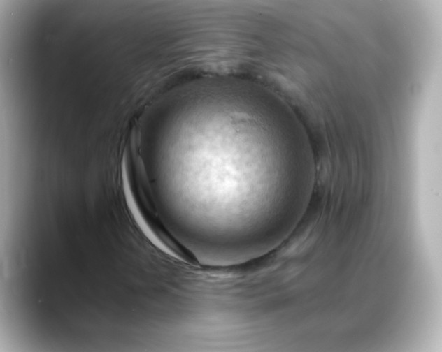 X0000088411202200706051147