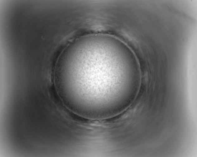 X0000088411205200706051147