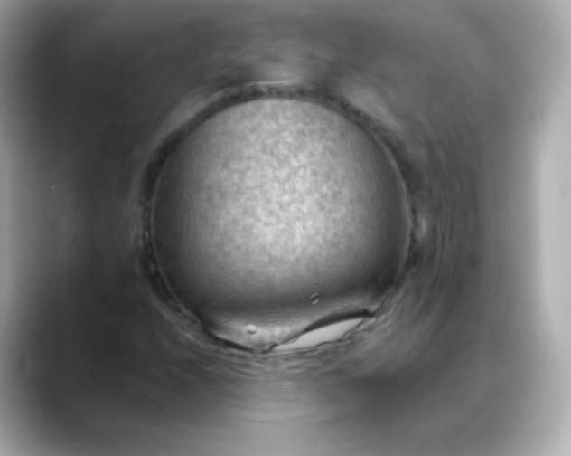 X0000088411208200706051147