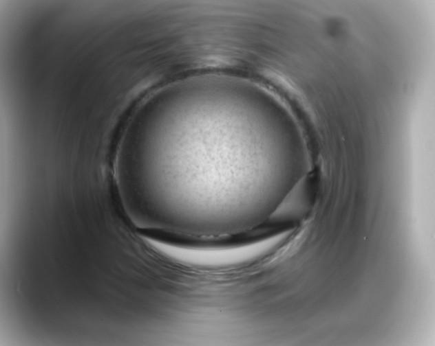 X0000088411210200706051147