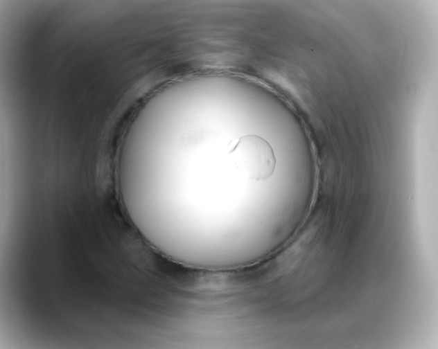 X0000088411211200706051147