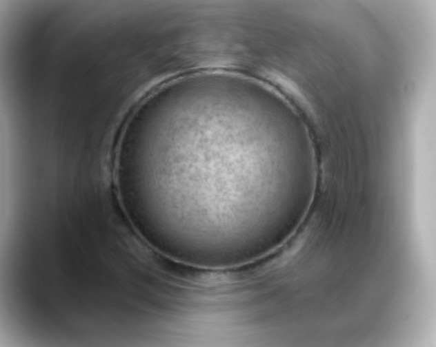 X0000088411212200706051147