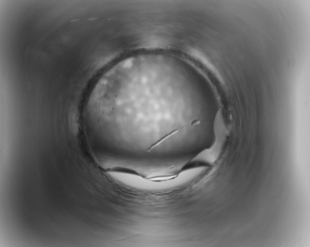 X0000088411213200706051147