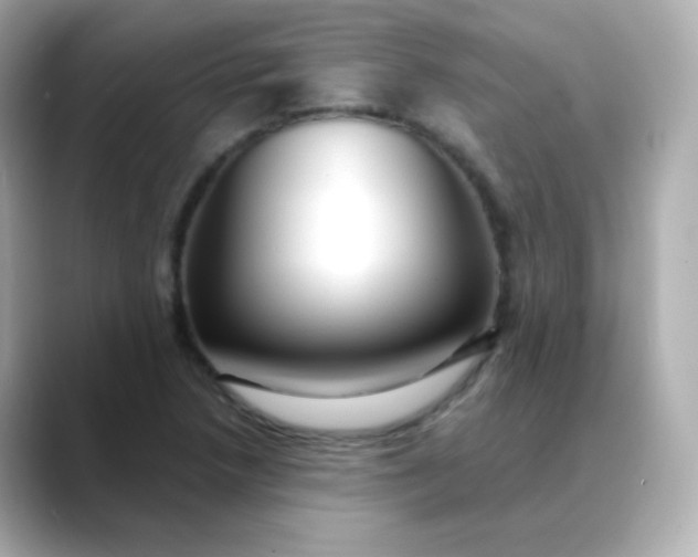 X0000088411218200706051148