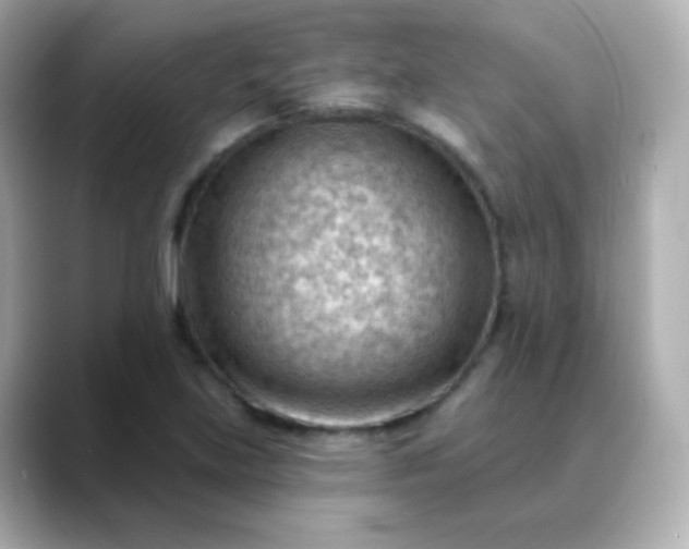 X0000088411219200706051148