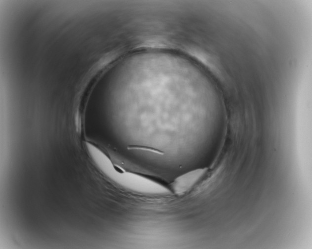 X0000088411221200706051148