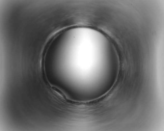 X0000088411222200706051148
