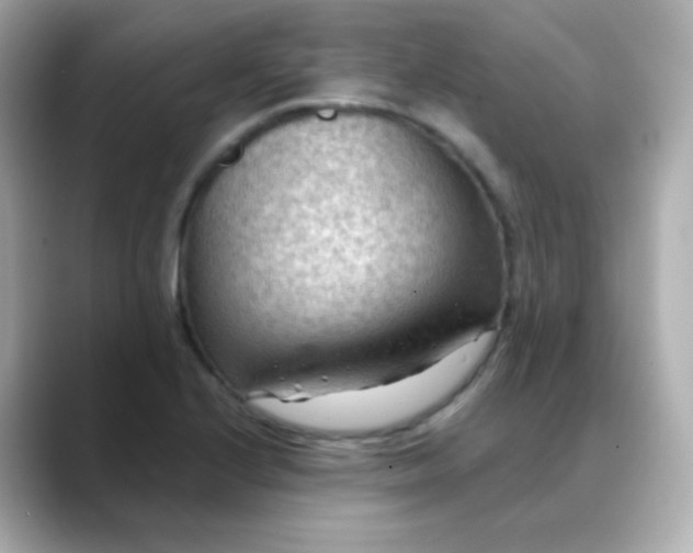 X0000088411224200706051148