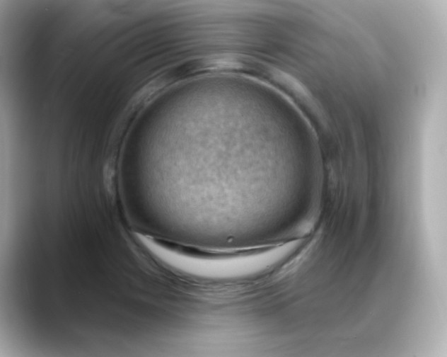 X0000088411225200706051148