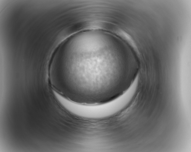X0000088411226200706051148