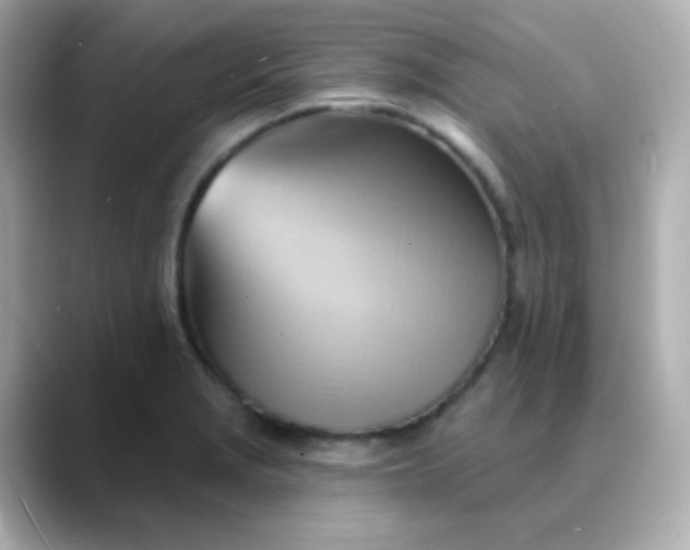X0000088411229200706051148