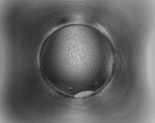 X0000088411230200706051148