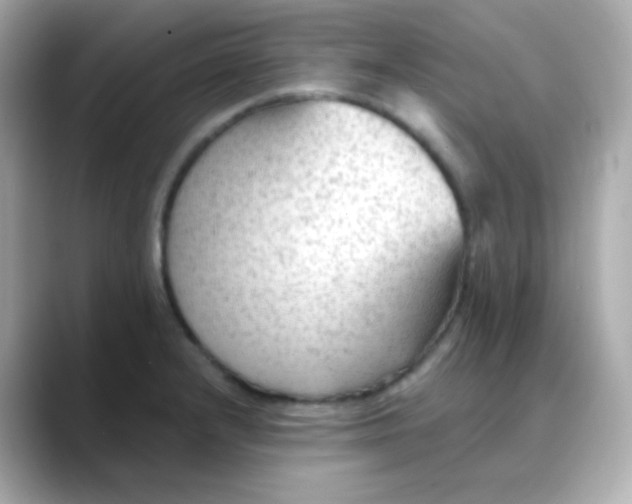 X0000088411232200706051148