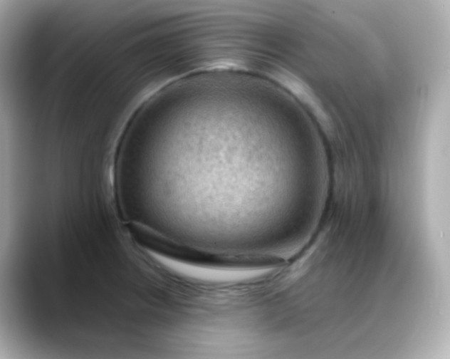 X0000088411234200706051148