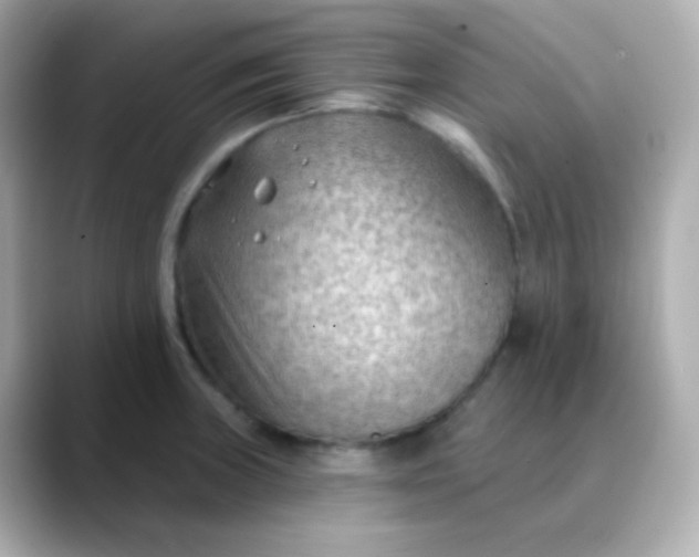 X0000088411235200706051148