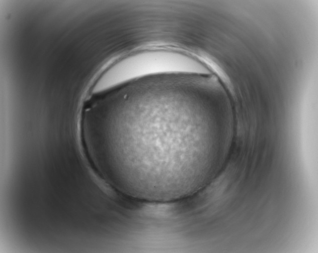 X0000088411237200706051148