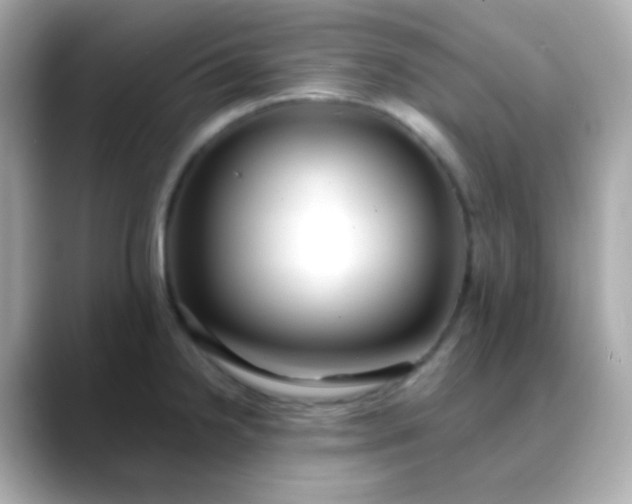 X0000088411238200706051148