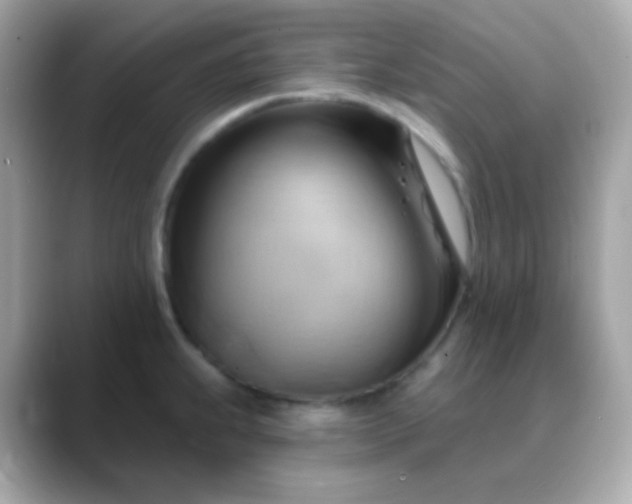 X0000088411239200706051148