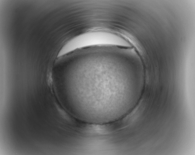 X0000088411241200706051148
