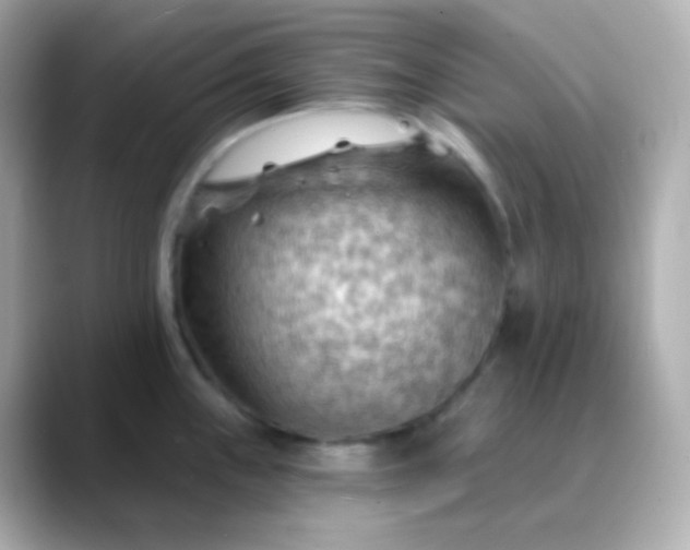 X0000088411243200706051148