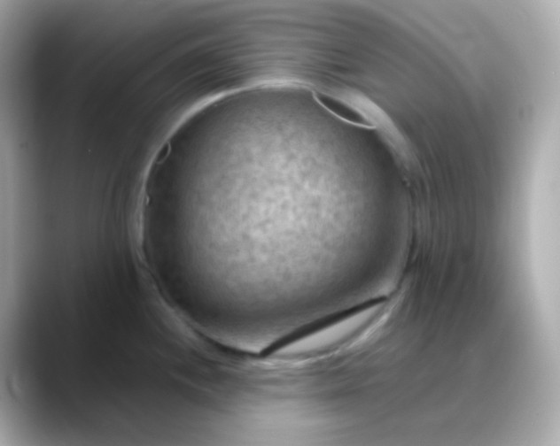X0000088411244200706051148