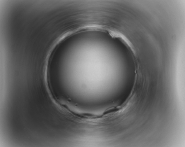 X0000088411245200706051148
