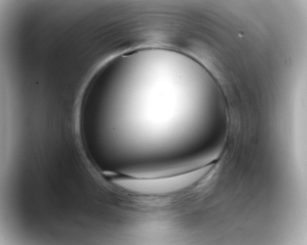 X0000088411246200706051148